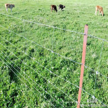 Cerca de gado de alta qualidade Galvanzied campo com T Post